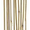 Bambupinne