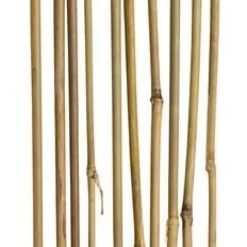 Bambupinne
