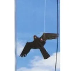 Fågelskrämma