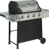 Gasolgrill Evolution