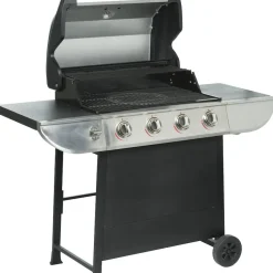 Gasolgrill Evolution