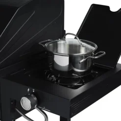Gasol- och kolgrill Combi