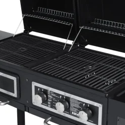 Gasol- och kolgrill Combi