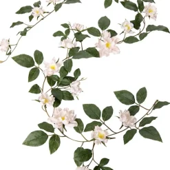 Girlang Rosor