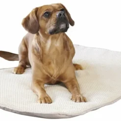 Hundfilt med handtag