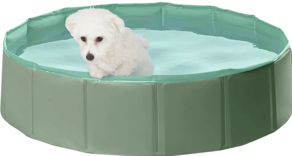 Hundpool Pet Club