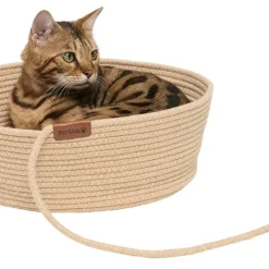 Kattbädd med boll
