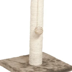 Klöspelare med boll