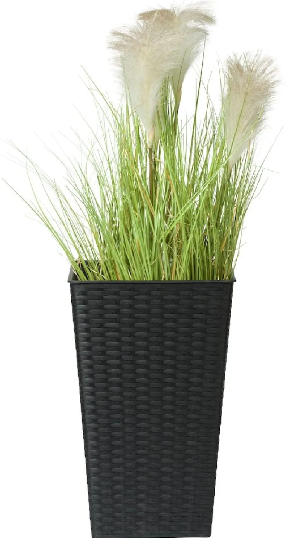 Kruka Milano