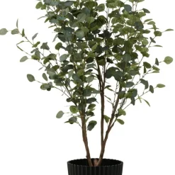 Kruka Vecka