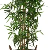 Kruka Willow