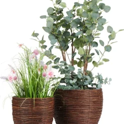 Krukset Willow
