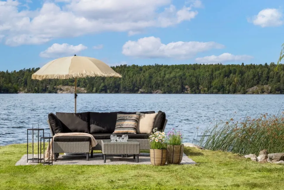 Krukväxt Gräs med Prästkrage