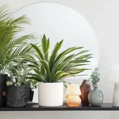 Krukväxt Guldpalm
