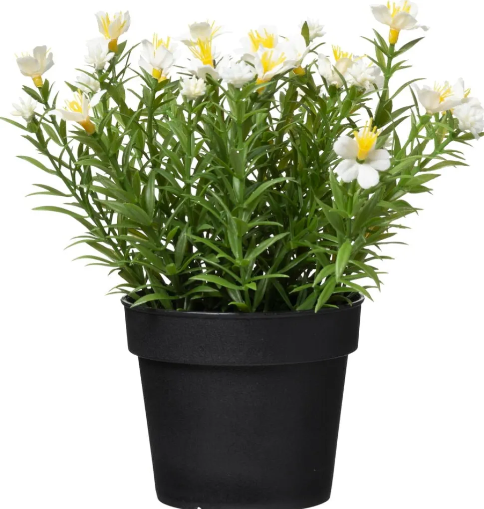 Krukväxt Sommarblommor