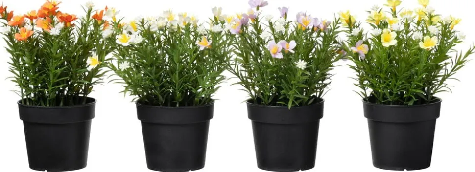 Krukväxt Sommarblommor