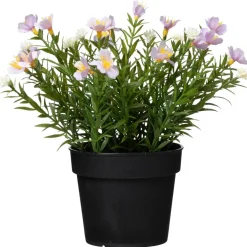 Krukväxt Sommarblommor