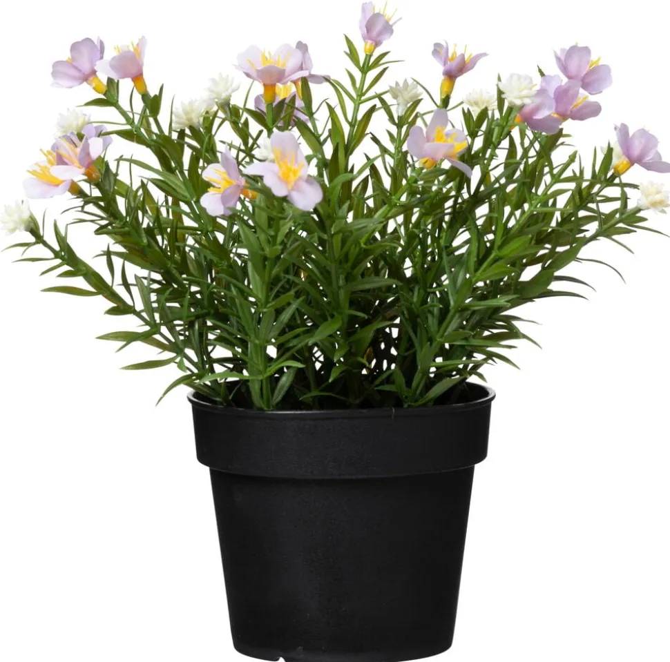 Krukväxt Sommarblommor
