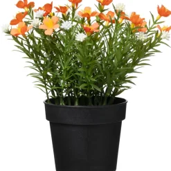 Krukväxt Sommarblommor