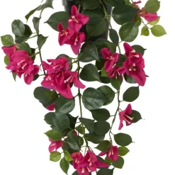 Krukväxt Trillingblomma