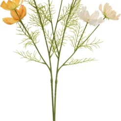 Rosenskära