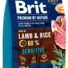 Torrfoder, hund Brit Premium by Nature