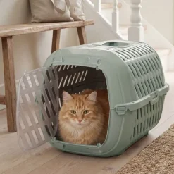 Transportbur