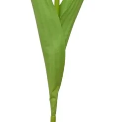 Tulpan
